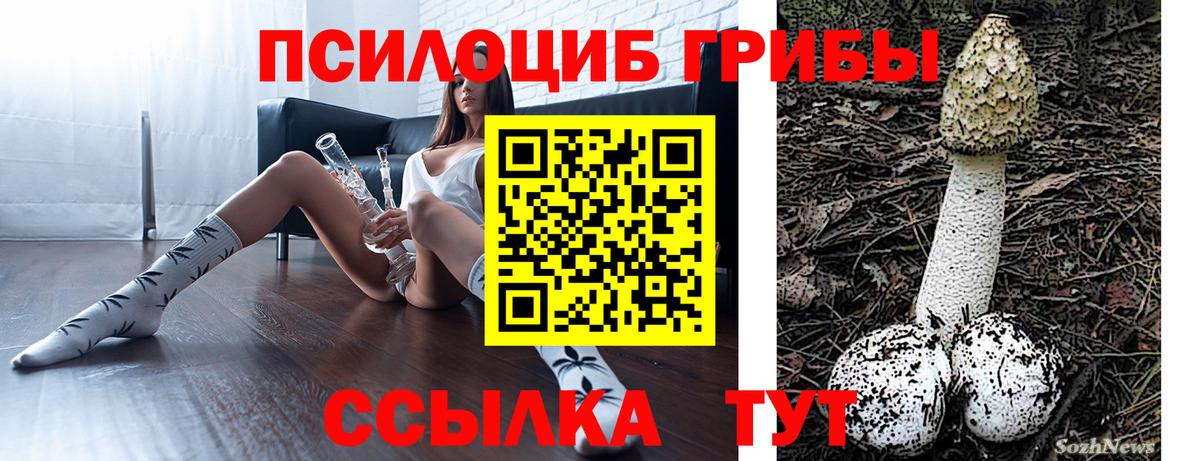Галлюциногенные грибы MAGIC MUSHROOMS Моршанск