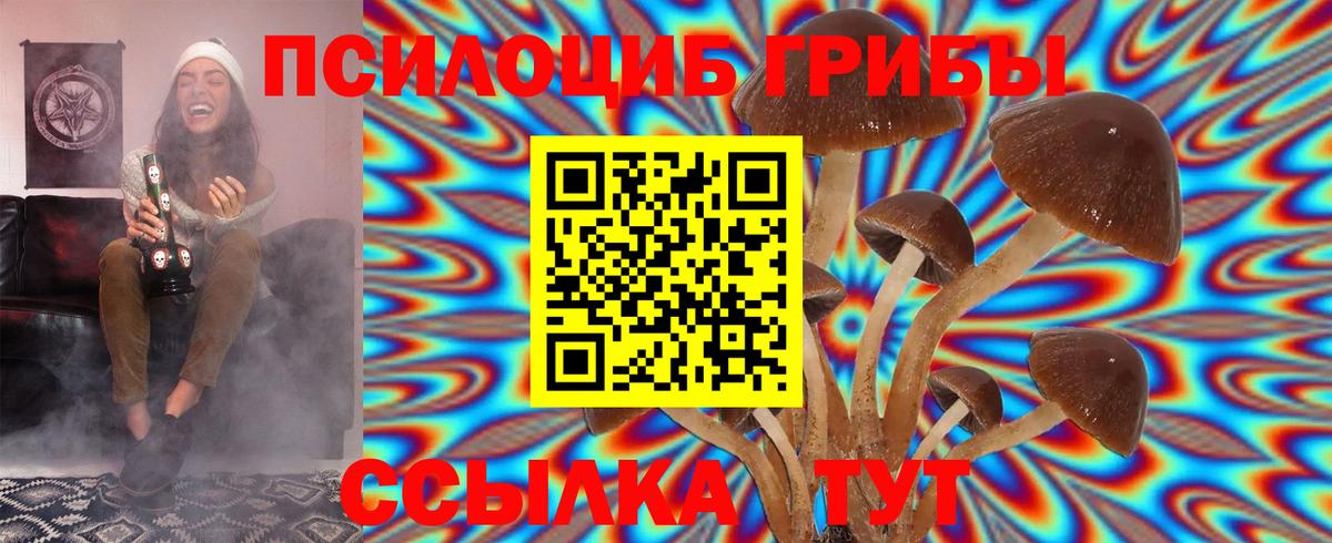 Псилоцибиновые грибы Magic Shrooms  Вход с VPN  Моршанск  Галлюциногенные грибы Psilocybe 